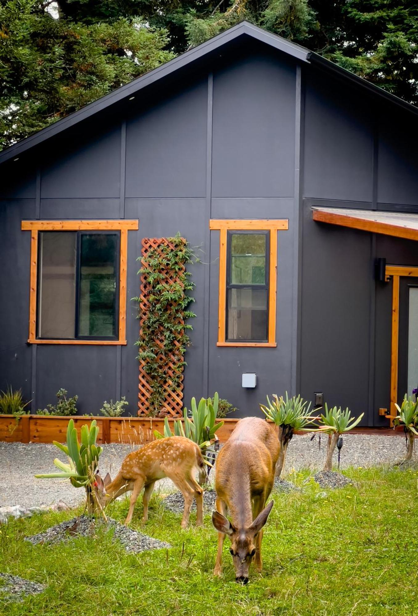 New, Modern, Country-Feel, Close To Arcata Zewnętrze zdjęcie