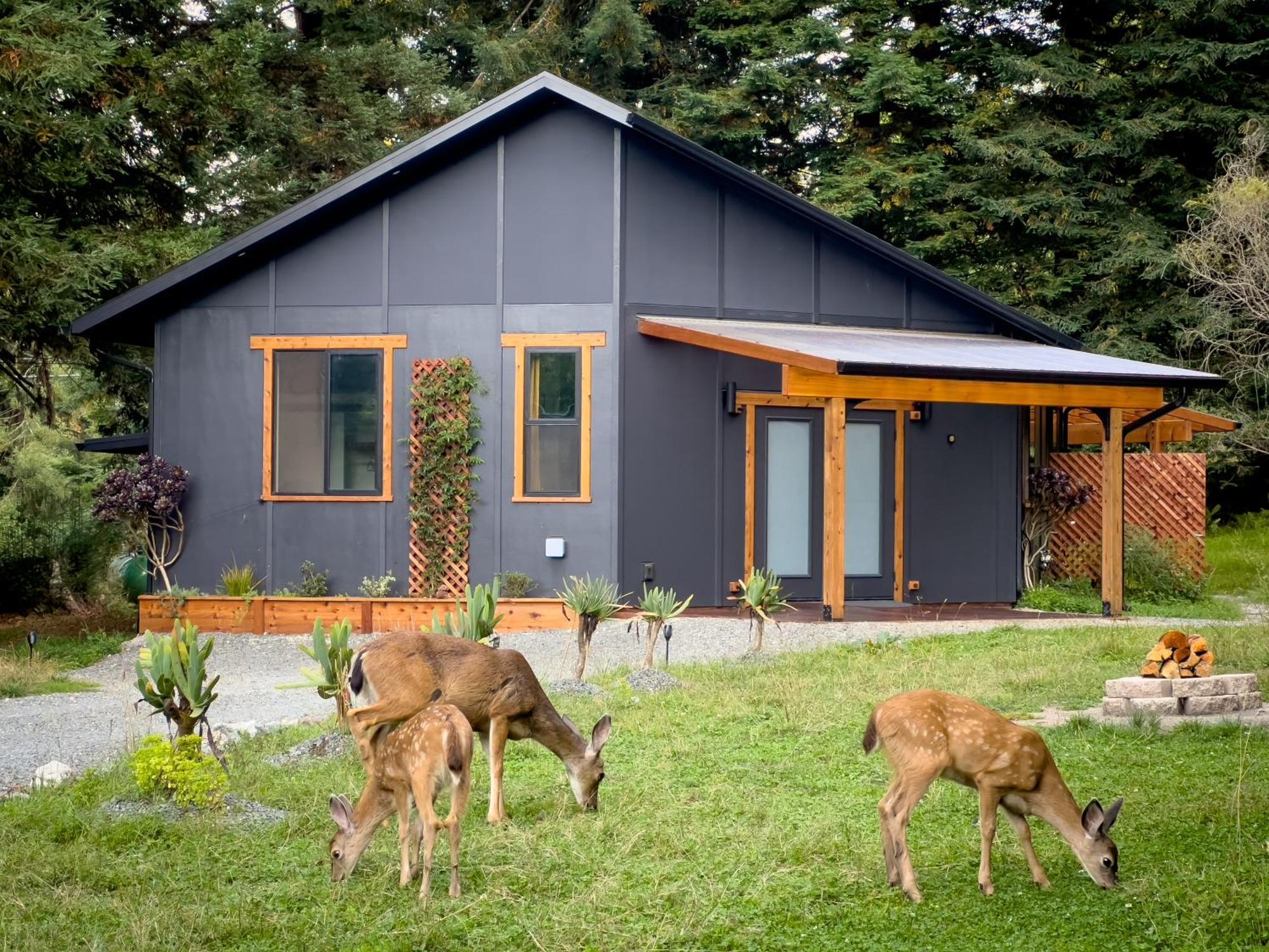 New, Modern, Country-Feel, Close To Arcata Zewnętrze zdjęcie
